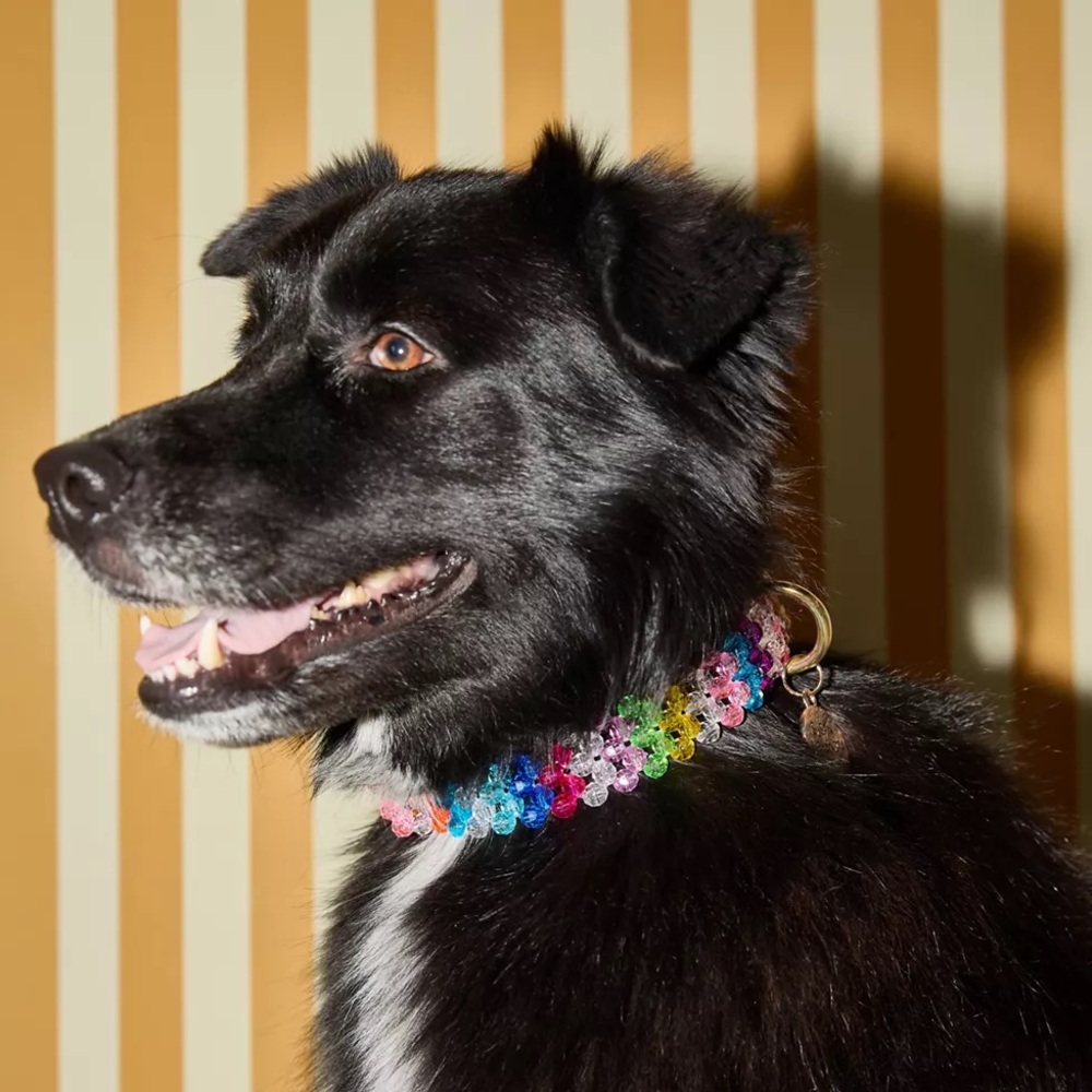Susan Alexandra Beaded Dog Collar size S
